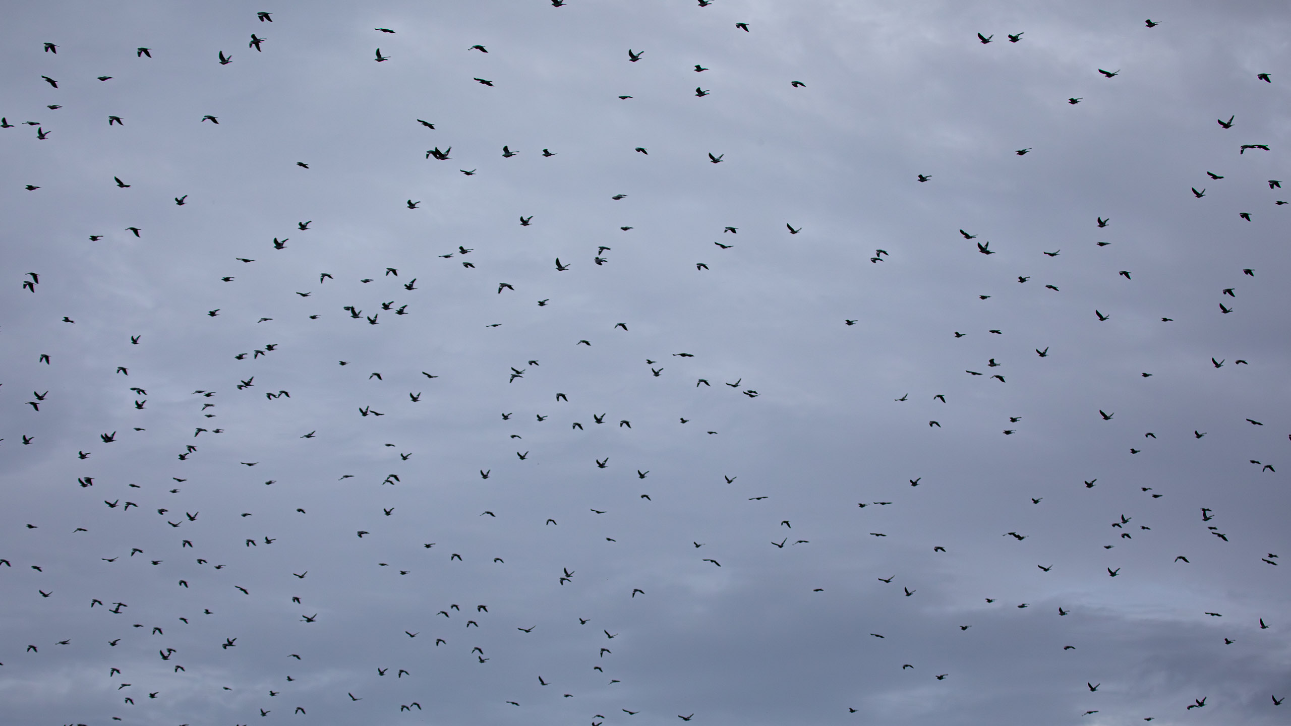 20231014095001 RD4 4615 e